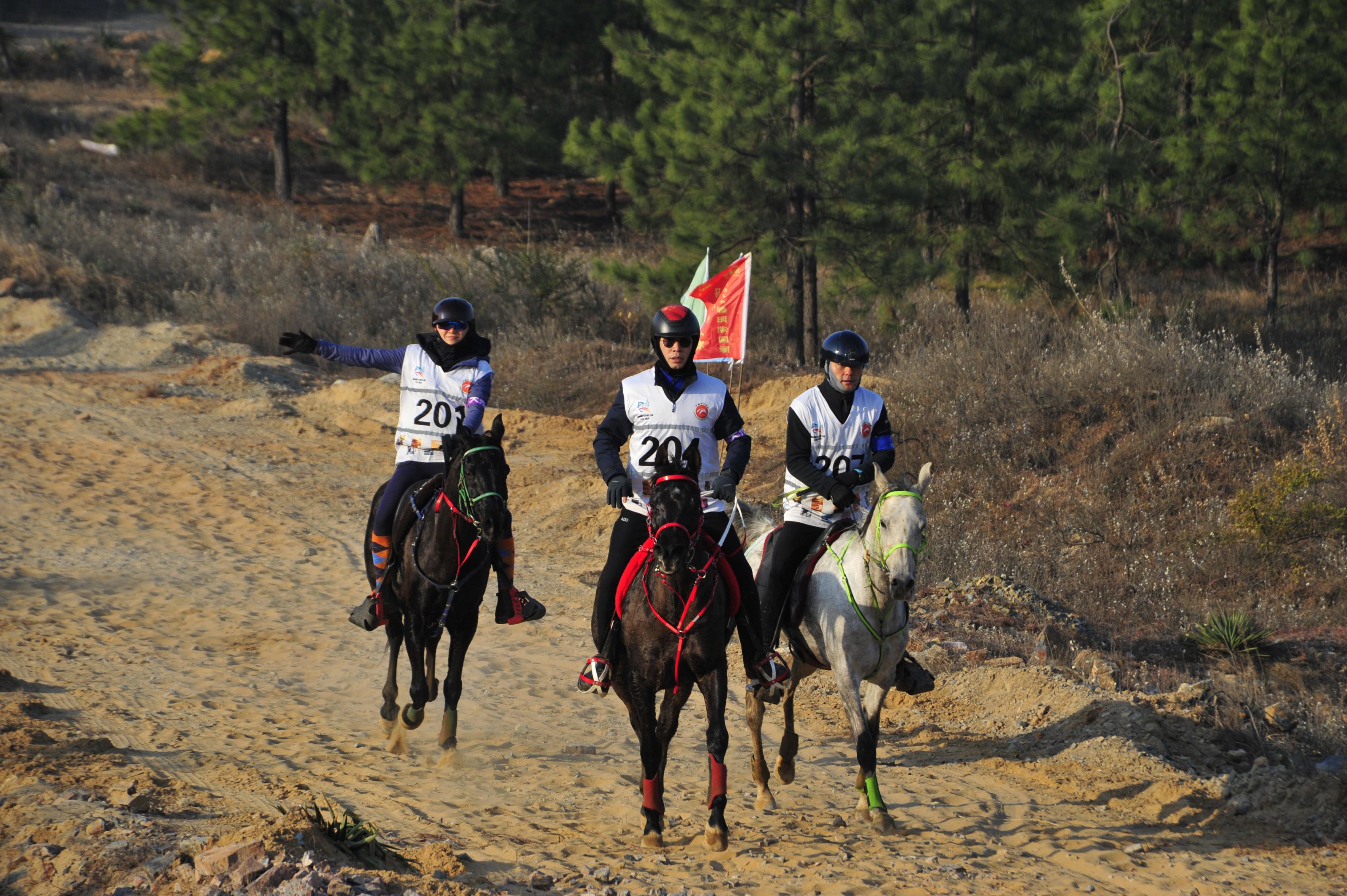 老挝选手在马术比赛中实现完美表现